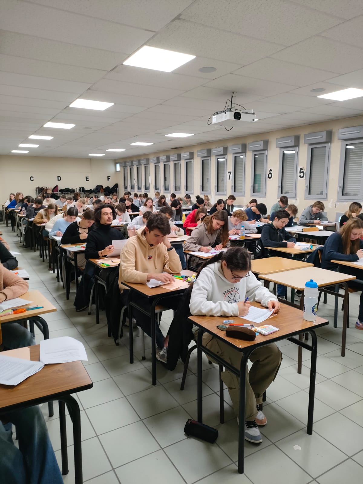 Certification B1 Allemand