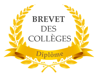 Remise des diplômes des collégiens : DNB - CFG - B1 Allemand